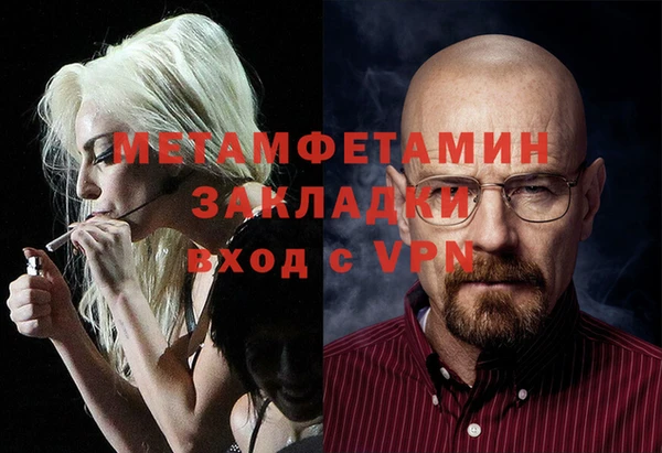 прущие грибы Касимов
