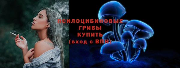 бошки Карпинск