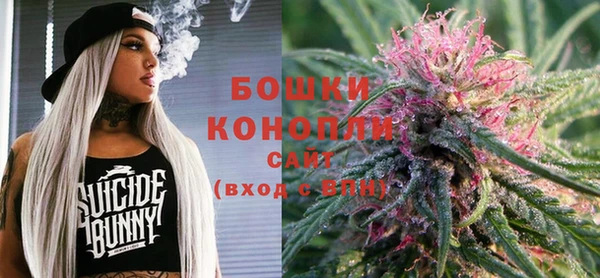 ГАЛЛЮЦИНОГЕННЫЕ ГРИБЫ Карталы