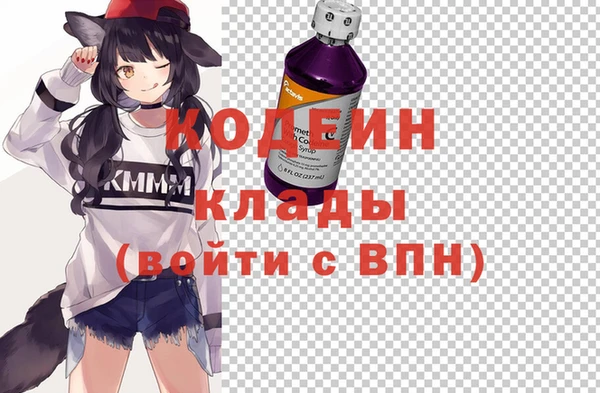 прущие грибы Касимов