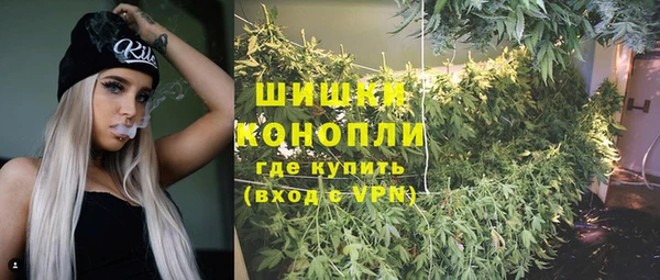 бошки Карпинск