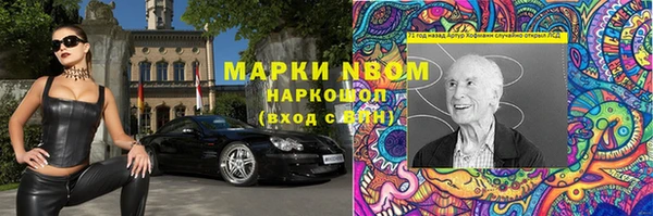 ГАЛЛЮЦИНОГЕННЫЕ ГРИБЫ Карталы