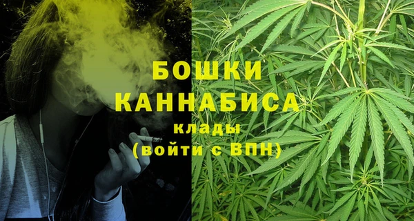 ГАЛЛЮЦИНОГЕННЫЕ ГРИБЫ Карталы
