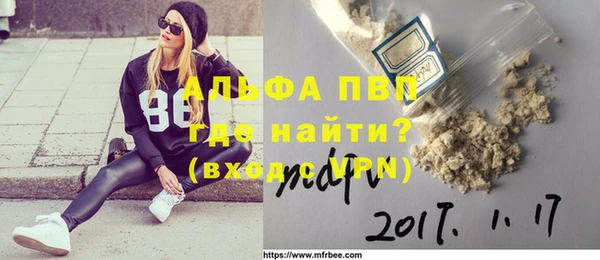 ГАЛЛЮЦИНОГЕННЫЕ ГРИБЫ Карталы