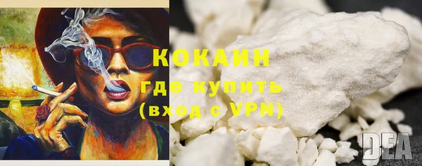 прущие грибы Касимов