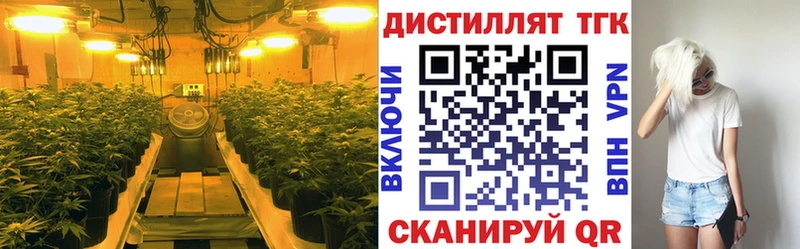 Дистиллят ТГК Wax Арзамас